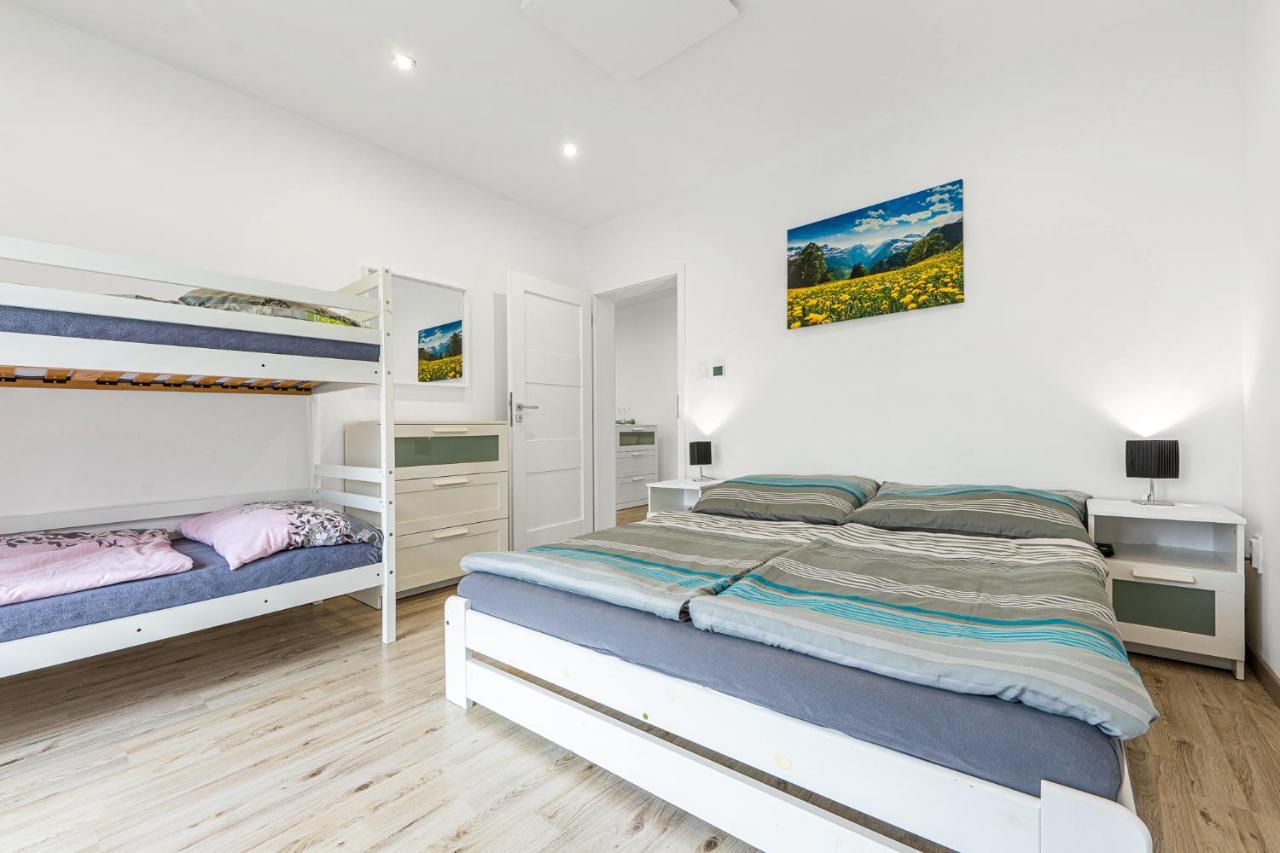 Loučná pod Klínovcem Wellness Villa Klinovec Views מראה חיצוני תמונה